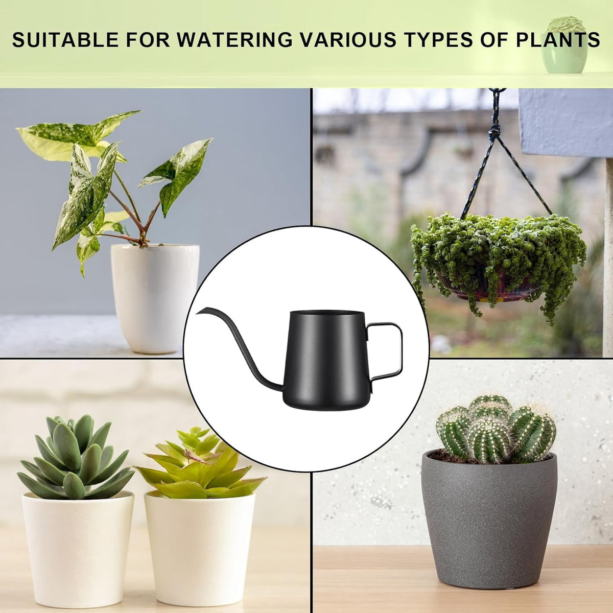 Long-Spout Watering Can in Stainless Steel, 12 oz Indoor Plant Pourer in Black - Image 4