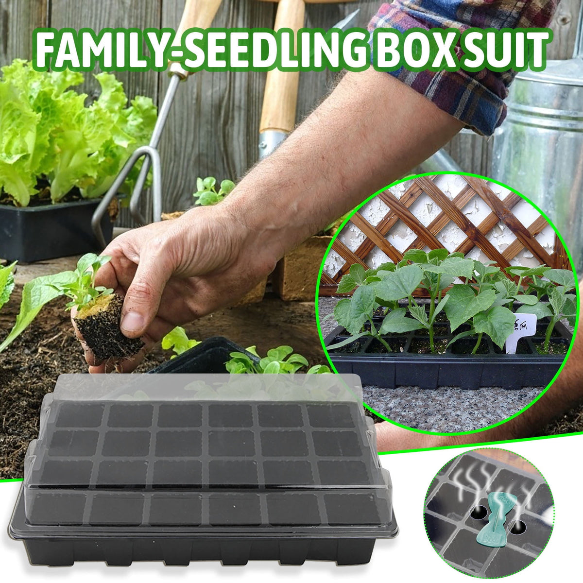24-Cell Seed Starting Tray with Vented Dome and Drainage Base, Clear Plastic - Image 2