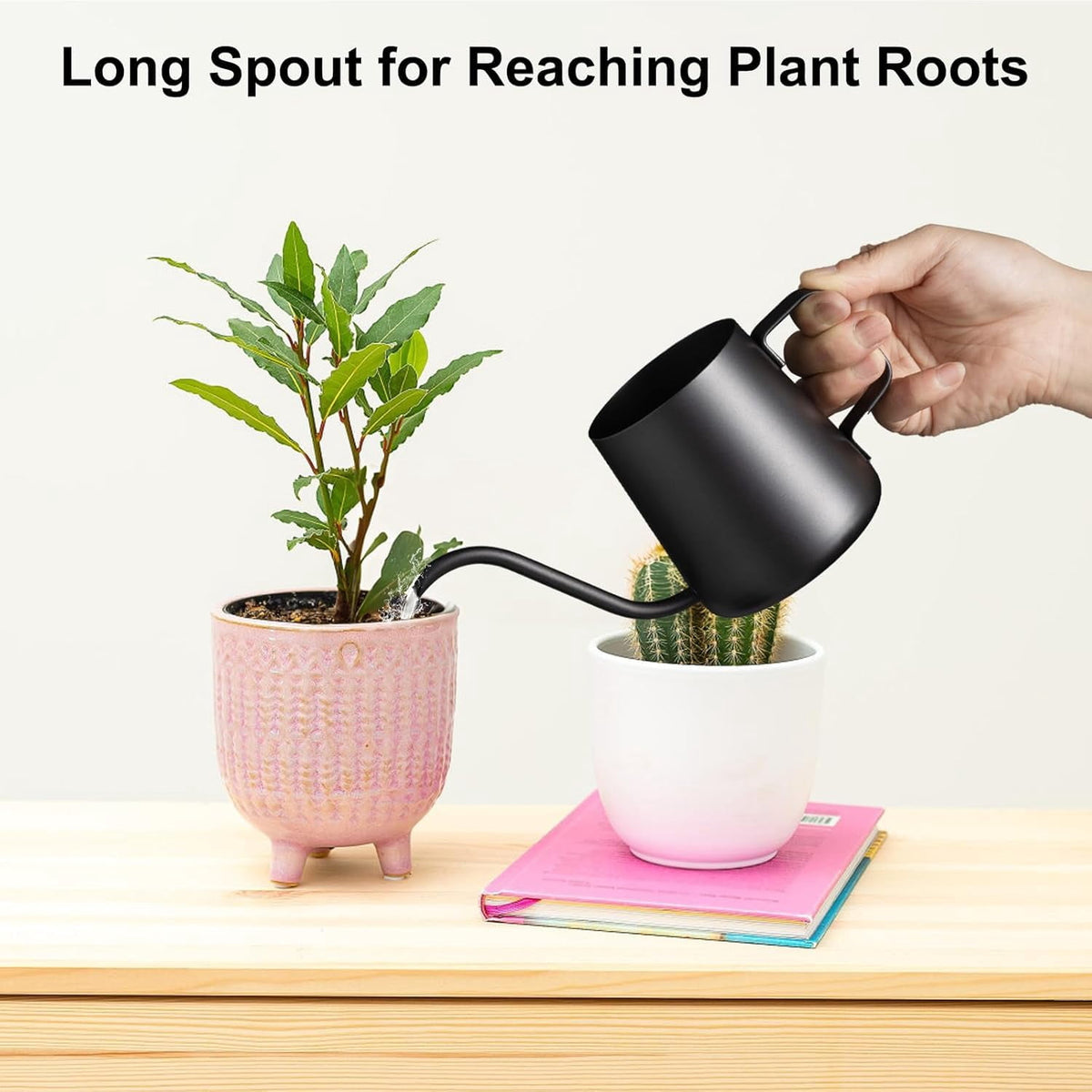 Long-Spout Watering Can in Stainless Steel, 12 oz Indoor Plant Pourer in Black - Image 3