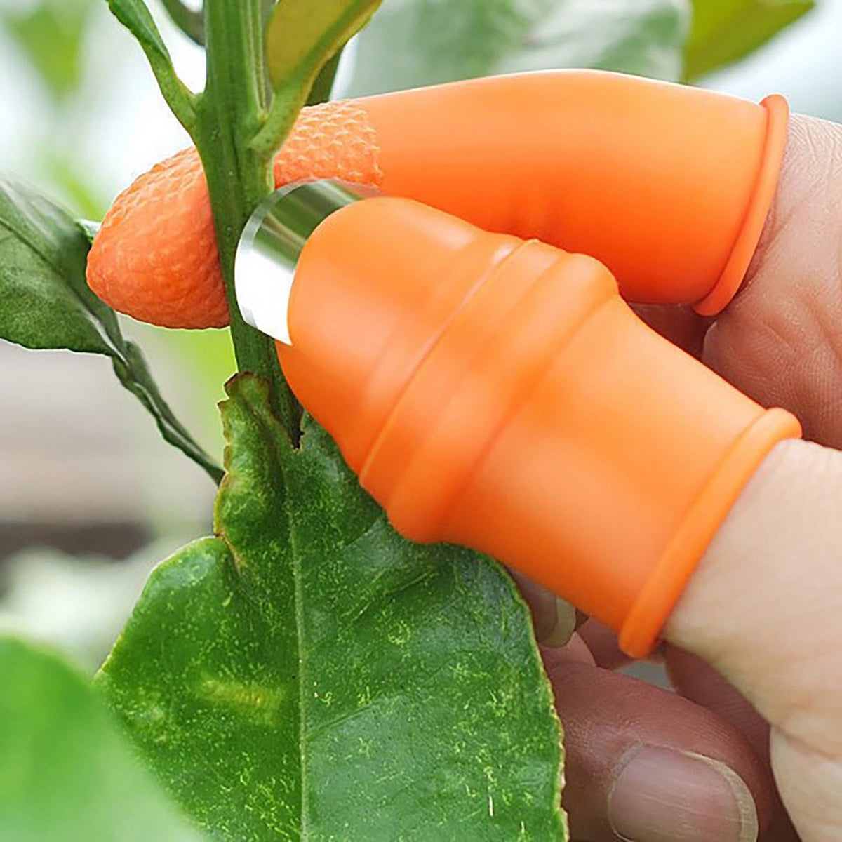 Silicone Thumb and Finger Picking Set with Stainless Blades for Fruit and Herbs - Image 5