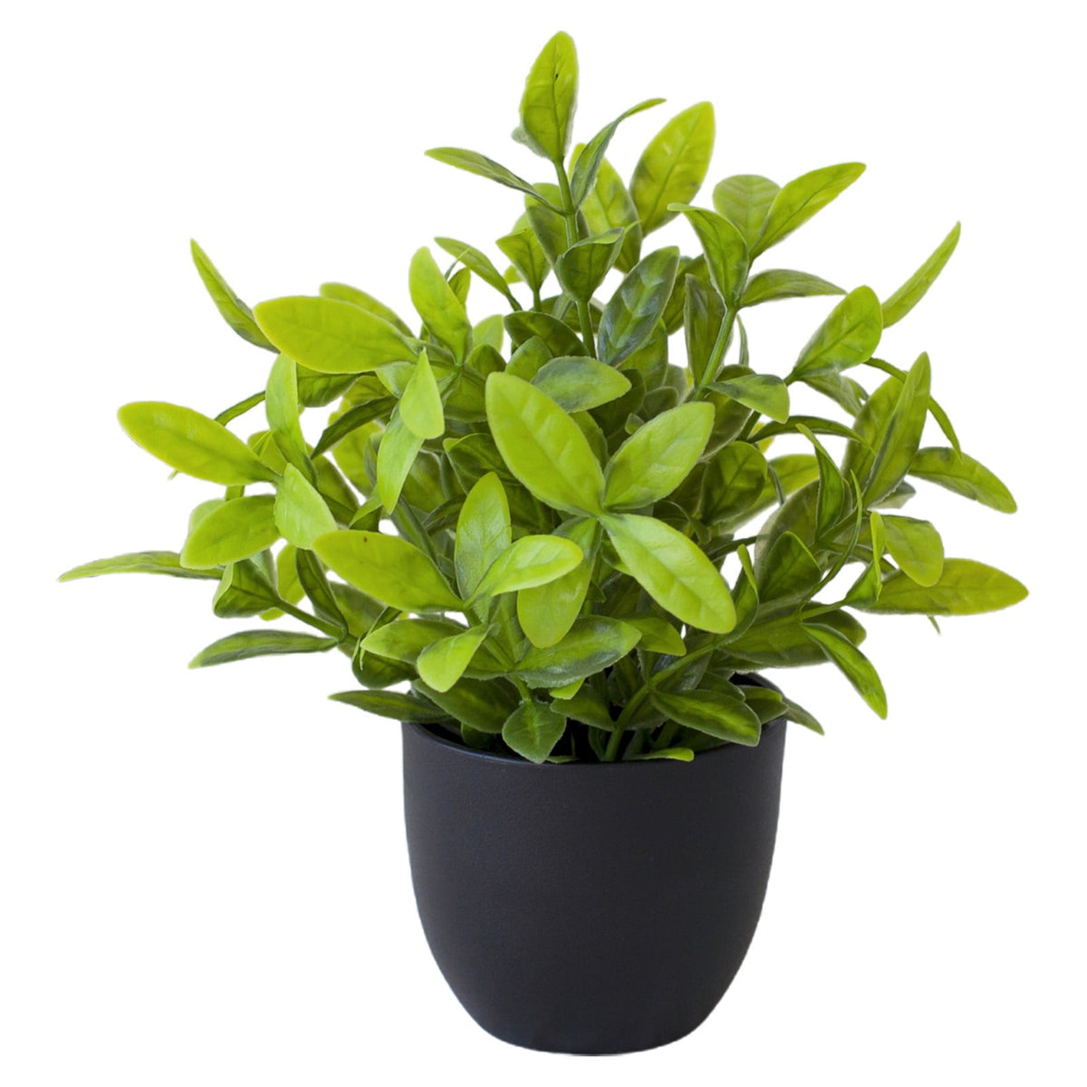 Faux Fern in a Small Black Pot, Artificial Tabletop Greenery for Shelf and Desk