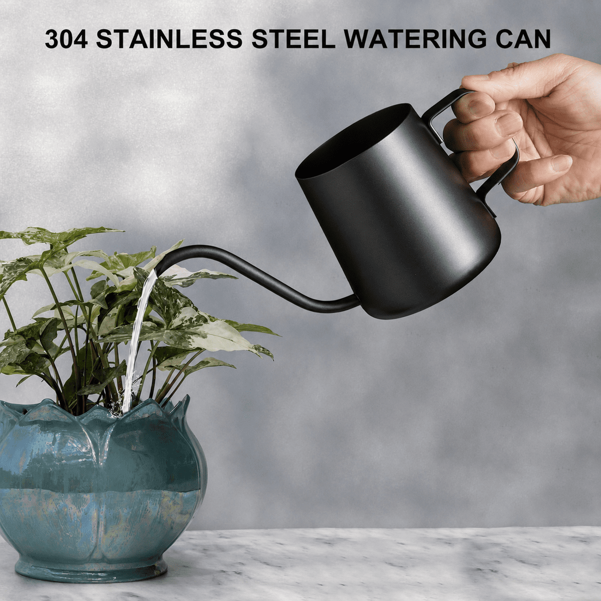 Long-Spout Watering Can in Stainless Steel, 12 oz Indoor Plant Pourer in Black - Image 2